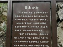 -阳台山自然风景区