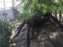 iphone_upload_pic-西安世博园