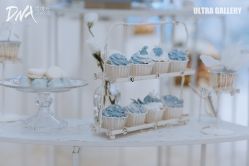 -DNA Wedding 婚礼记(上海店)