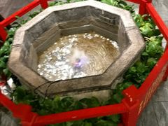 -满园春饼(运河城店)