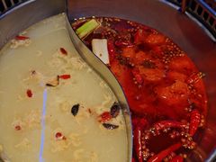 -季季红火锅(动壹店)