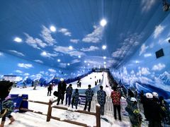 -世界之窗阿尔卑斯冰雪世界