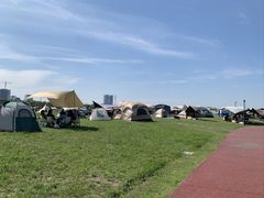 -春花秋色城市公园