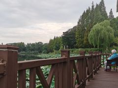 -上海市保健医疗中心