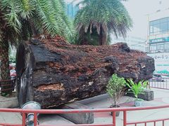 -海口骑楼小吃街