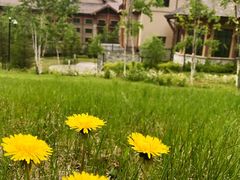 -长白山万达喜来登度假酒店