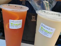 乌龙冻冻奶茶-TPLUS茶家(淮海店)