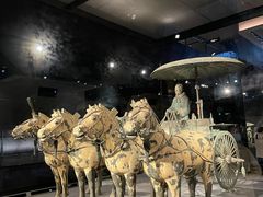-秦始皇帝陵博物院-丽山园