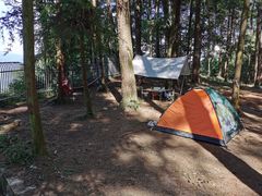 -重庆睡佛山森林公园