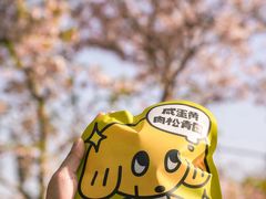-泽田本家·铜锣烧(美罗城店)