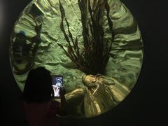 -悉尼海洋生物水族馆