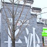长沙鲁哥饭店 茄子咸蛋黄和酸萝卜牛百叶必点！