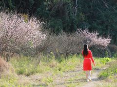-福建天门山