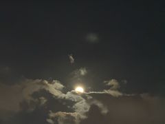 -濮园 · 四合院餐厅