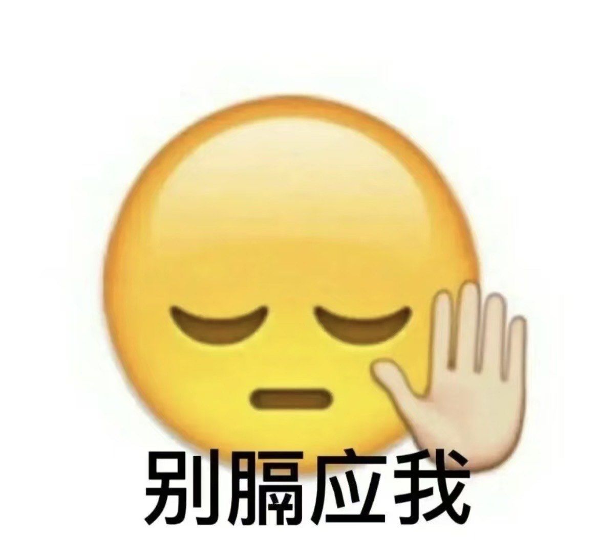 这家店真的很下头!