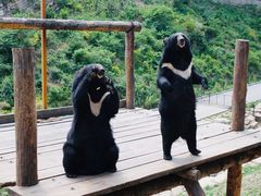 -大连森林动物园