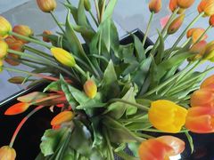 -CIAO·团建聚餐·生日派对轰趴馆(福田店)