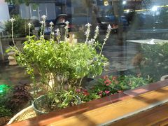 -野渡坡·极致湘菜·庭院餐厅(汉阳店)