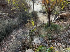 -北京西山国家森林公园