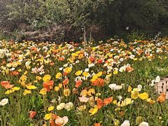 -名花谷生态庄园
