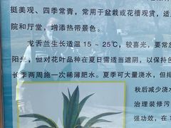 -北京植物园南门售票处