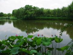 -金银湖国家城市湿地公园