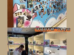 -lincat·猫舍(广州店)