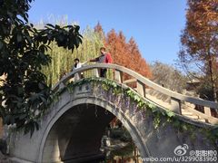 -西安曲江寒窑遗址公园