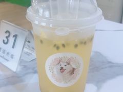 -Husky Go! 哈士奇体验馆·宠物咖啡厅狗咖