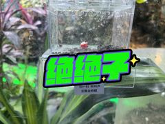 -上海大自然野生昆虫馆(东方明珠·爬宠昆虫探索中心)