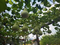 -大泽山风景名胜区