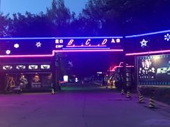 -枫花园汽车电影院(朝阳公园店)