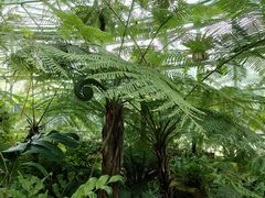 -国家植物园南园