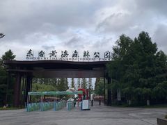 -黄海国家森林公园