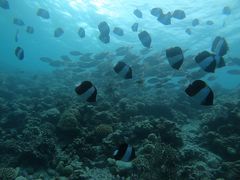 -中央格兰德岛温泉度假酒店 - 全包