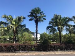 -明月山天沐温泉度假村