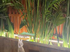 -云阿蛮云南生烫牛肉米线(奉贤路店)