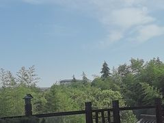 -悦椿温泉酒店·悦椿苑火锅餐厅