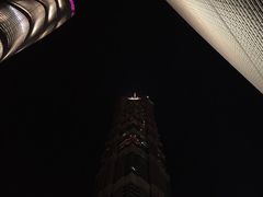 -上海柏悦酒店