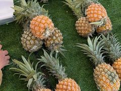 -五里多农博广场