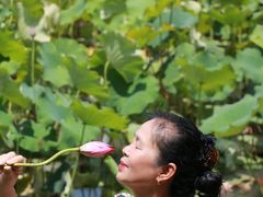 -贵阳市花溪国家城市湿地公园