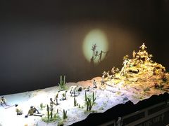 -第九届妖漫动漫游戏展曁七夕情人祭