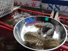 -外伶仃岛海鲜市场