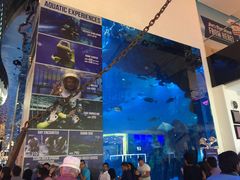 景点-迪拜水族馆及水下动物园