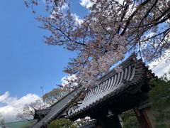 -阪急百货店(梅田总店)