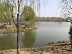 -东郊湿地公园