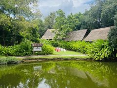 -大象粑粑造纸公园