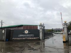 -胜华驾校·小猫学车(银都店)