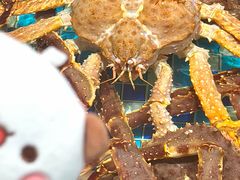 -映像威海·海鲜味道(市区店)