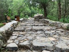 -阳台山自然风景区